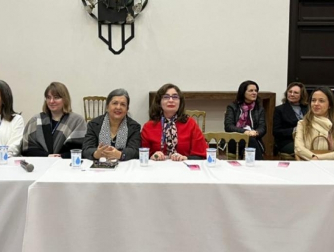 Promotora de Goiás representa a AGMP em evento nacional que discutiu violência política de gênero