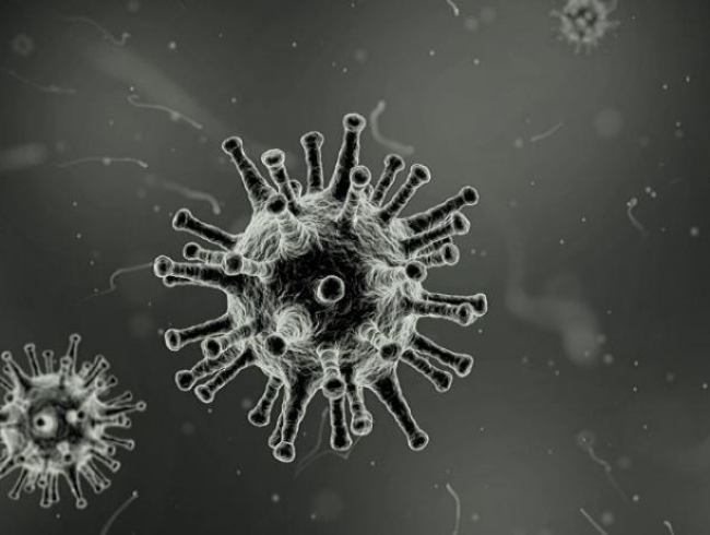 Promotores e procuradores de Justiça mantêm produtividade durante pandemia de Coronavírus
